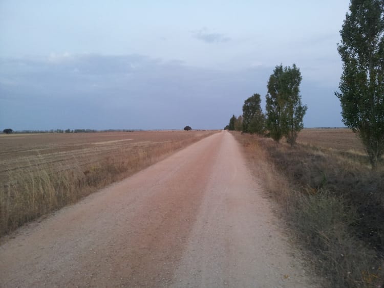 14. Carrión de los Condes → Terradillos de los Templarios