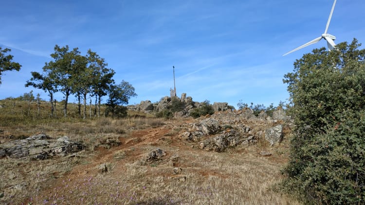 19. Funeteroble de Salvatierra → Morille