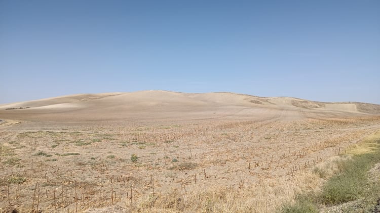 17. Castro del Rio → Santa Cruz